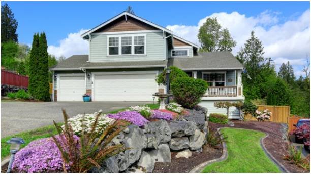 How Do You Choose the Right Plants to Improve Curb Appeal?